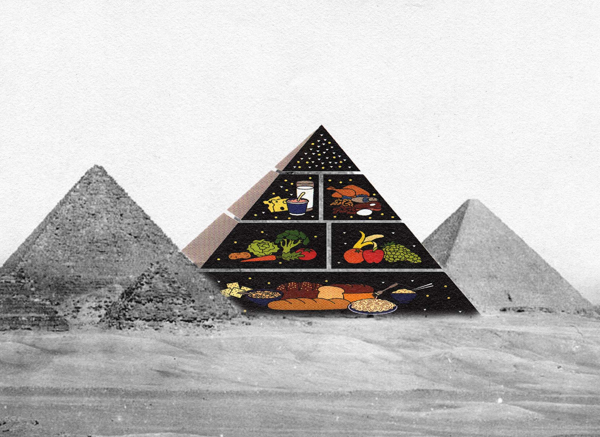 Traversing the Food Pyramid