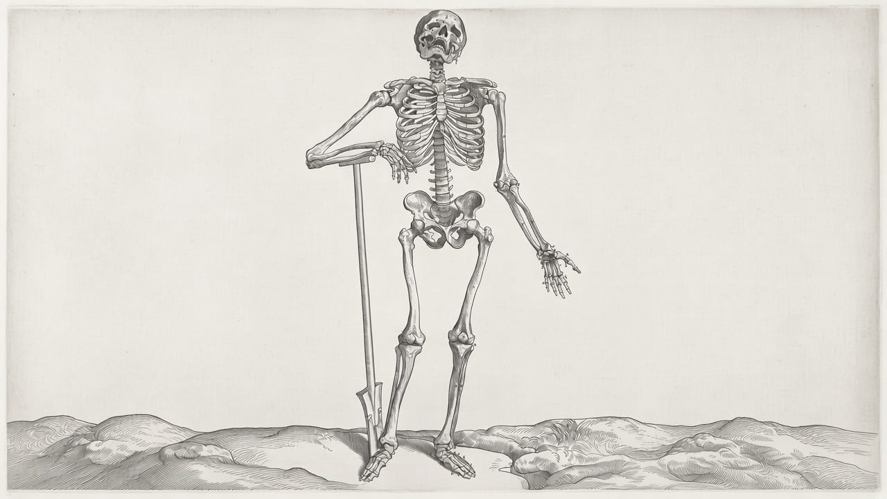 These Old Bones