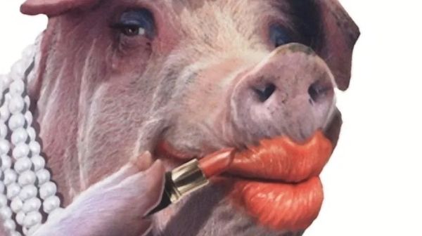 Lipstick On a Pig