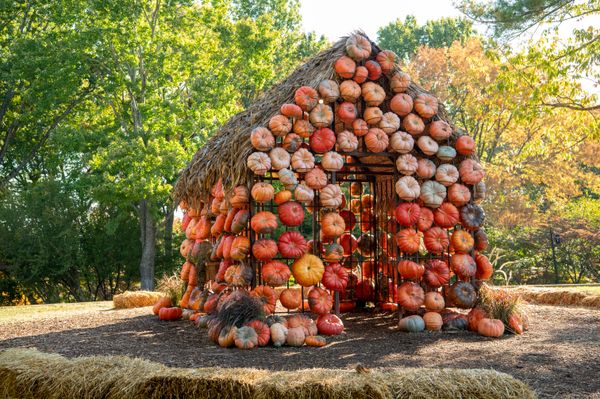 Houses Made of Pumpkins