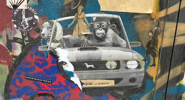 The Week in Culture (August 28th)