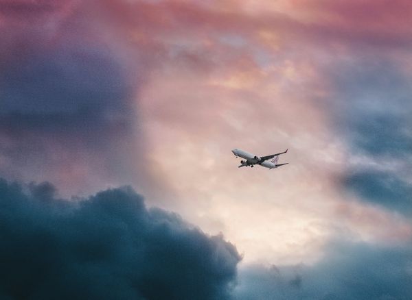 Tax Cuts, Summits, and Business Trips