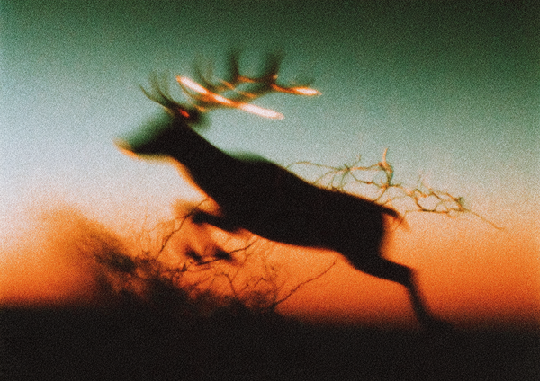 The Deer Hunter